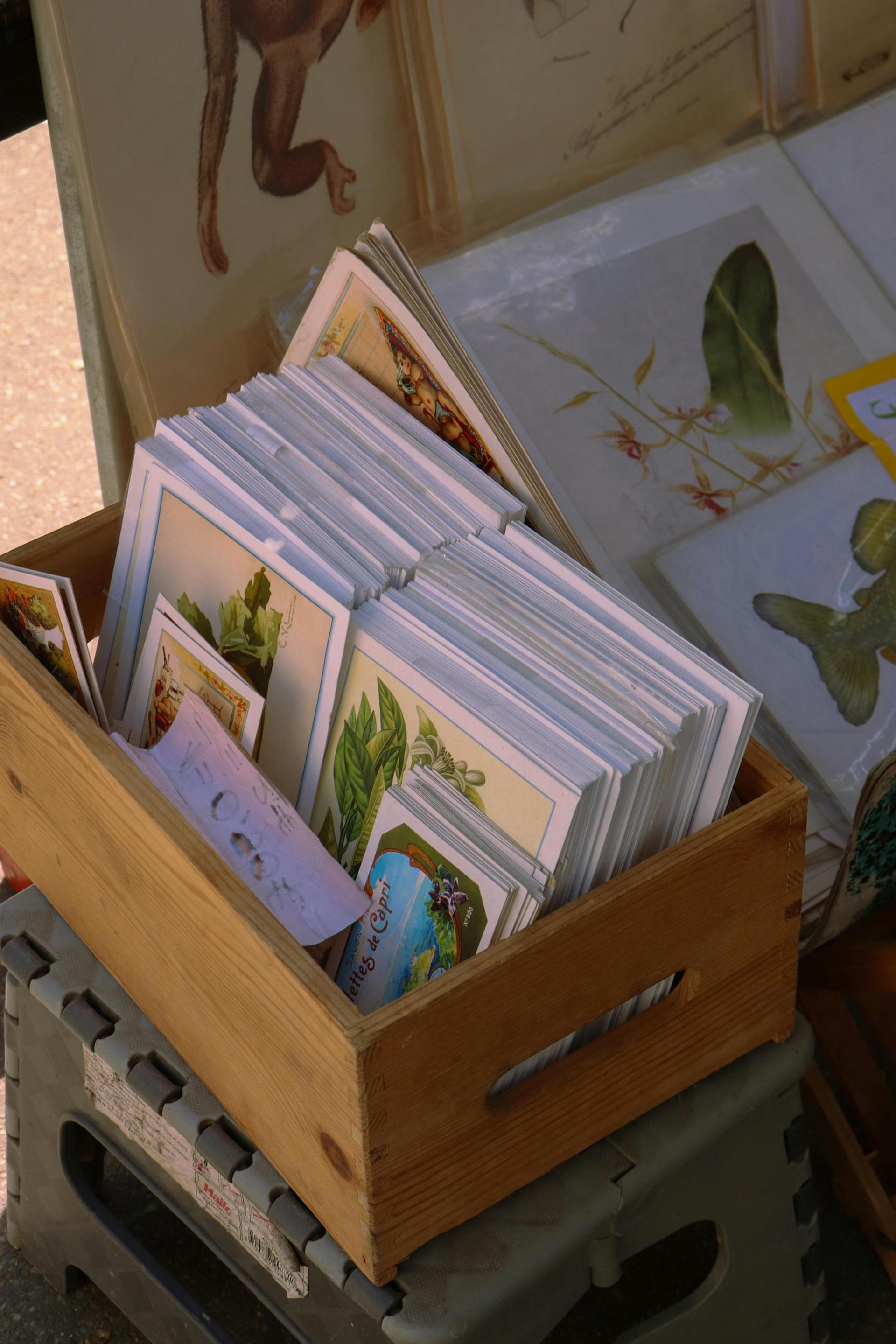 pexels-celine-3776818-32757439